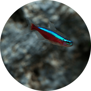 カウンター近く