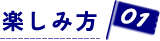 楽しみ方01