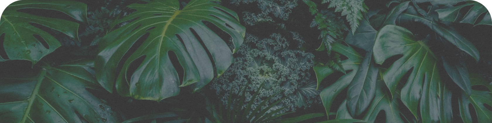 プライバシーポリシー